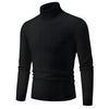 Dieno | Herren Rollkragenpullover